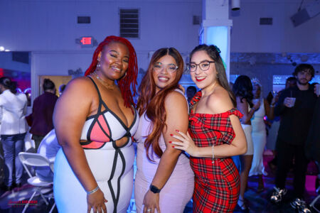 Secretschristmas 013